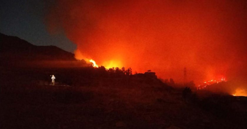 İzmir'de yangına müdahale sürüyor – Son Dakika Haberi
