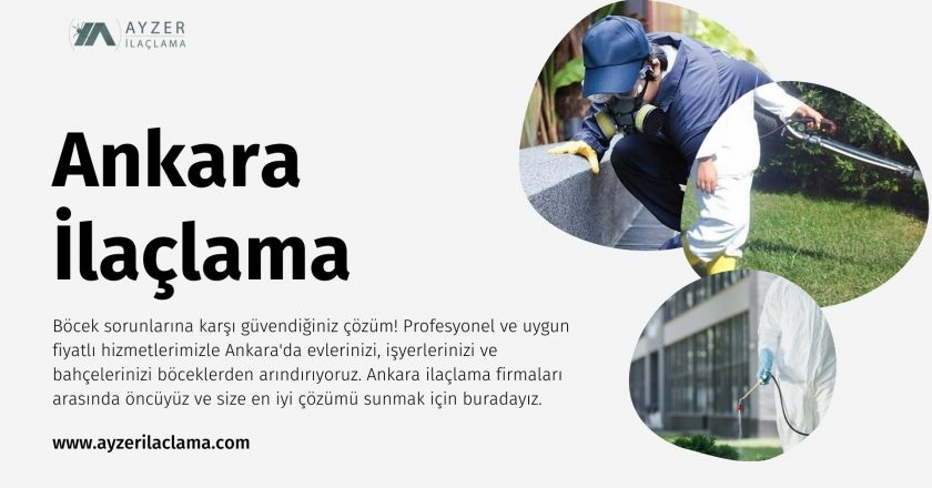 Ankara Karınca İlaçlama: Uygun Fiyatlarla Evlerinizi Koruyun