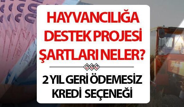 Tarım ve Sığır için Destek Paketi Şartları 2025: Kırsal kesimde doğurganlık nedir, Zootechnics için uygulama olduğunda kim uygulayabilecek bir destek projesi nedir? 2 yıla kadar kaçırılamaz kredi seçeneği!