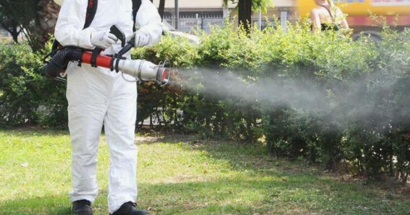 Ankara Böcek İlaçlama ile Sağlıklı ve Güvenli Yaşam Alanları