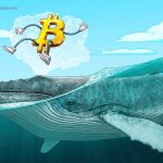 Kurumsal evlat edinme, ilk bitcoin yatırımcılarının inancını sarsar