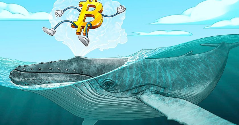 Kurumsal evlat edinme, ilk bitcoin yatırımcılarının inancını sarsar