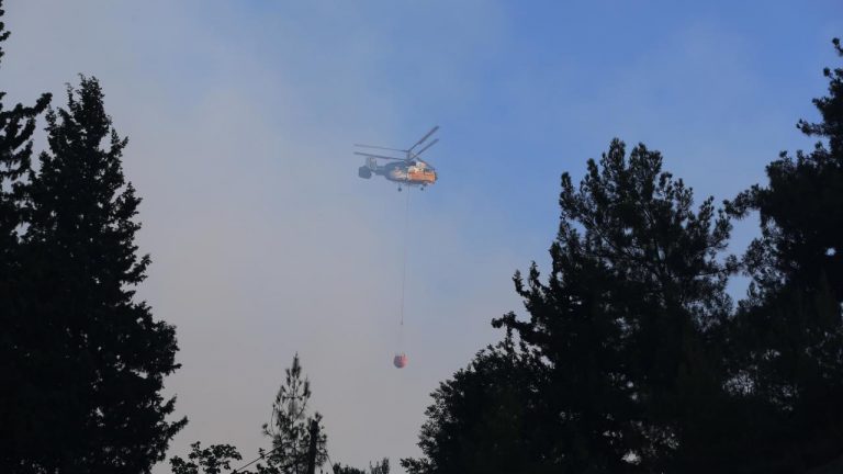 Hatay, Bursa ve Edirne’deki orman yangınları kontrol edildi