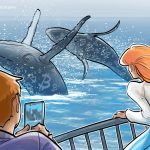 Dev Bitcoin Balina, Trump seçiminden sonra BTC rezervlerini iki katına çıkardı