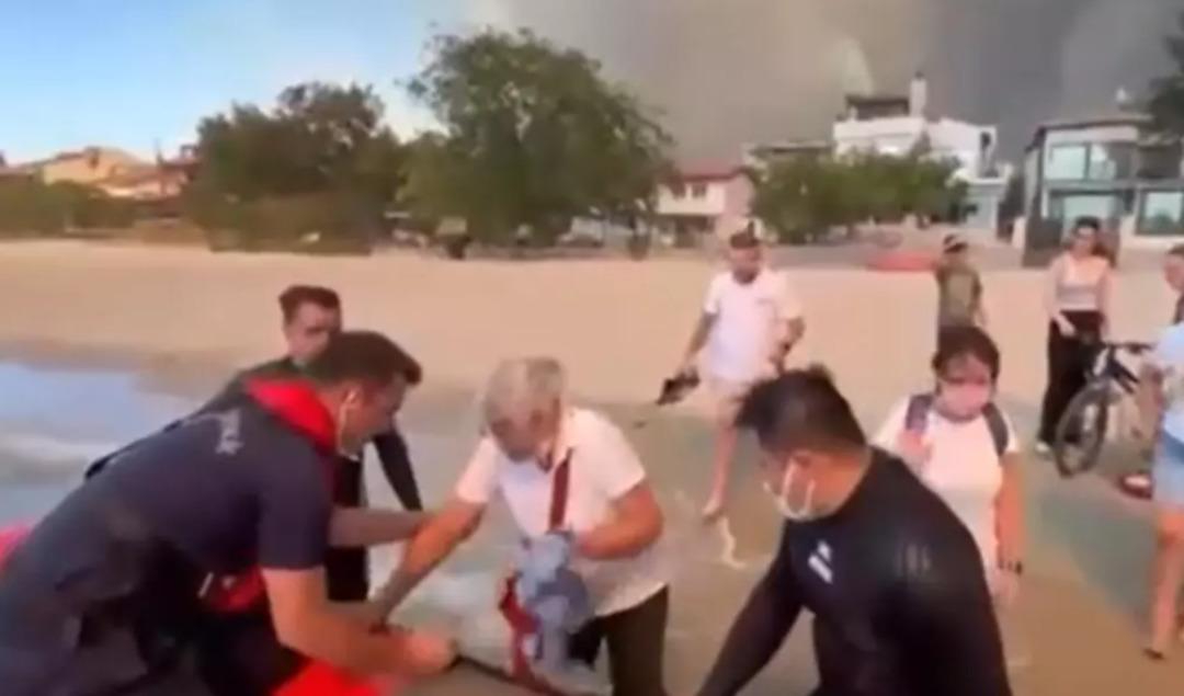 Milyonlarca villa, araçlar Ash'e dönüştü! Çanakkale'deki acı resim 5 ortaya çıktı