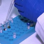 Pestisitlerin maksimum kalıntı limitlerine ilişkin esaslar düzenlendi