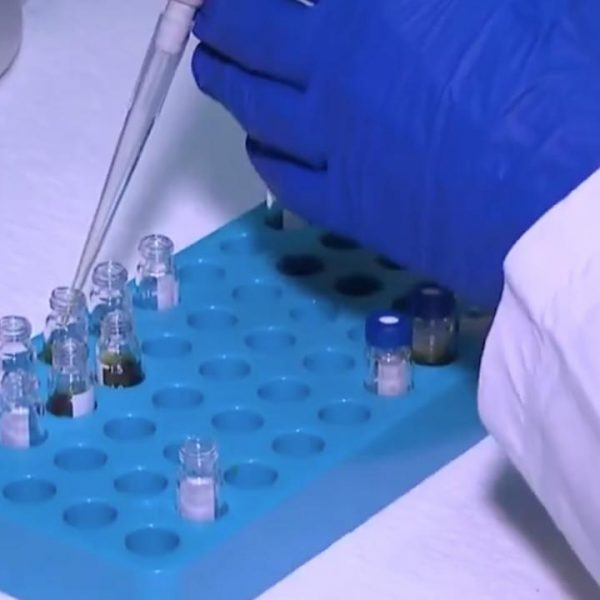 Pestisitlerin maksimum kalıntı limitlerine ilişkin esaslar düzenlendi