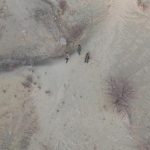 Kaçak Avcılara Tarihi Ceza Verildi